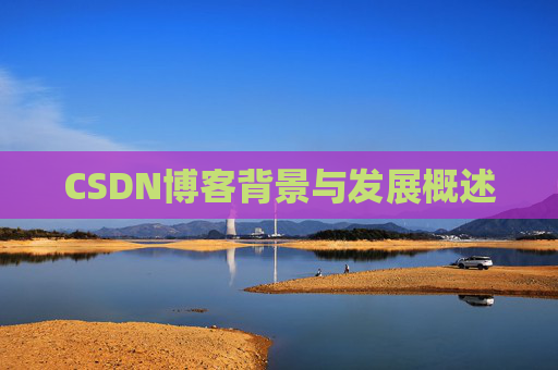 CSDN博客背景与发展概述
